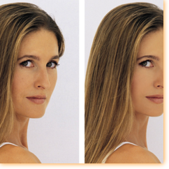 1ere Pression / Piaubert