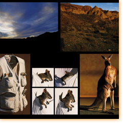 Jean & Monmarin / Aigle
(Base)