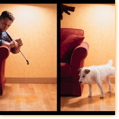 Offset Pub / BHV
(Base)