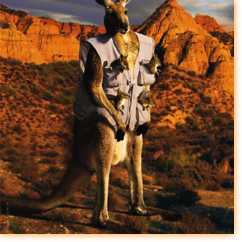 Jean & Monmarin / Aigle