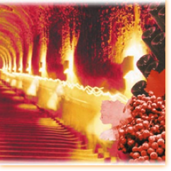 Atelier Restrepo / Pommery Atelier Restrepo / Pommery