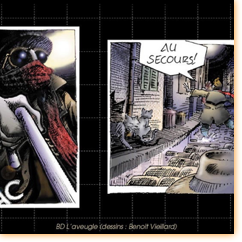 BD / B. Vieillard BD / B. Vieillard