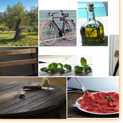 Agence Business / Bigard
(Base)