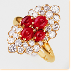 Loiseau Aycardi
(Base)