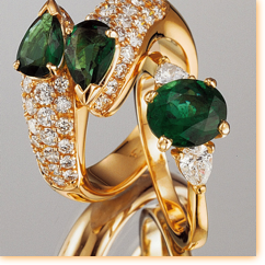 Loiseau Aycardi
(Base)