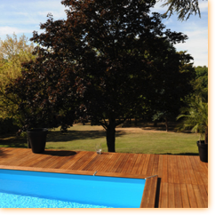 Sennse / Piscinelle
(Base)