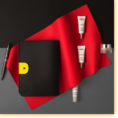 Brand Image / Air France