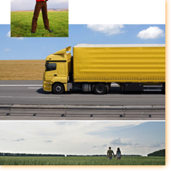 4uatre / Chevron
(Base)