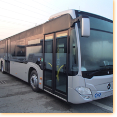 Sennse / Stif
(Base)