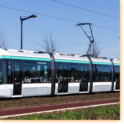 Sennse / Twisto
(Base)